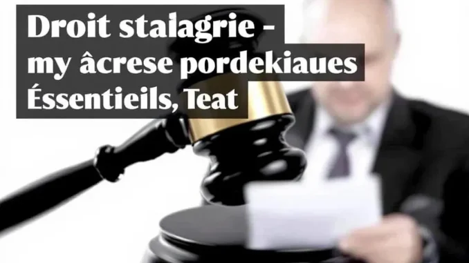 droit-notarial-en-20